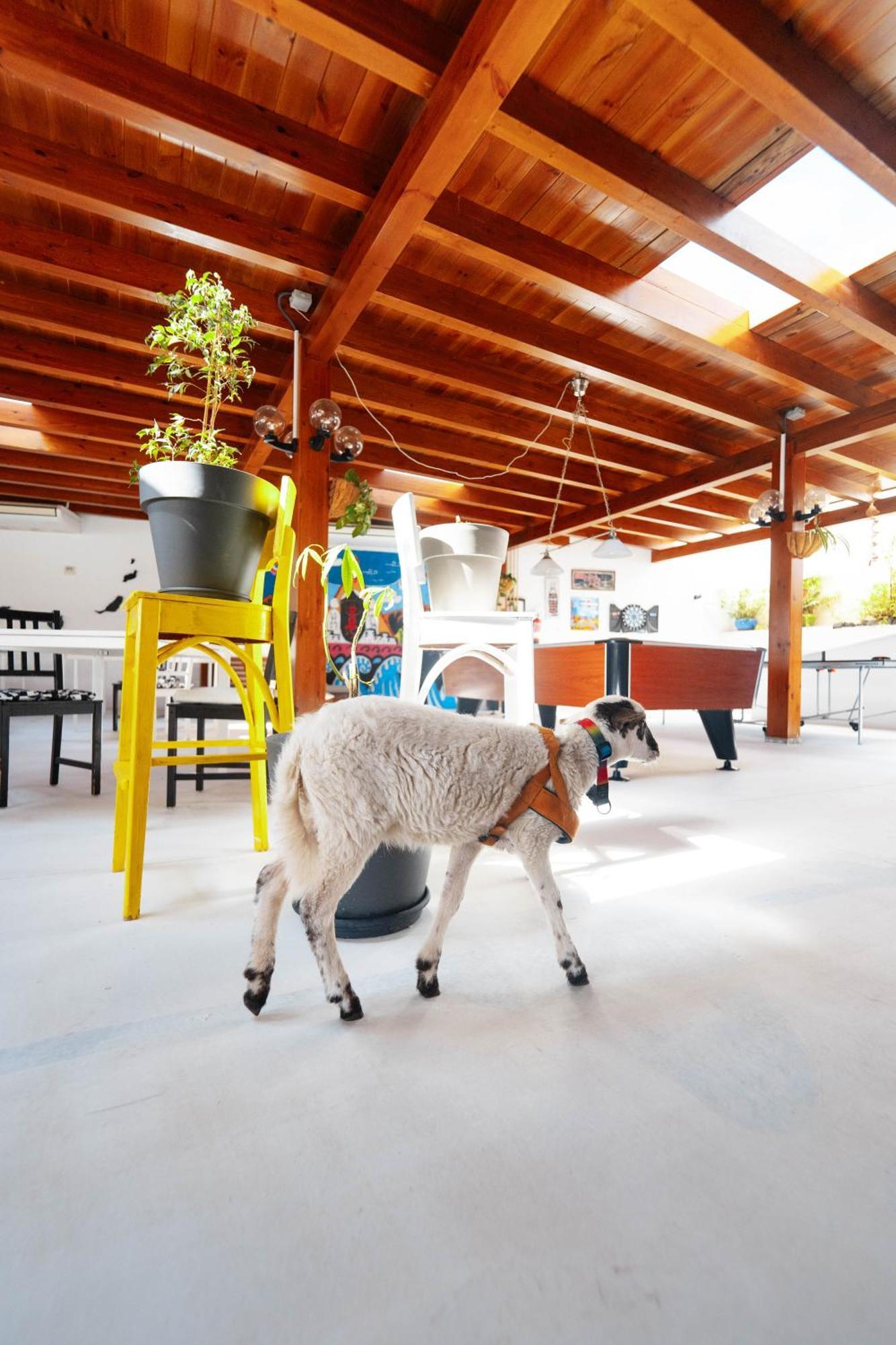 Montana Blanca Casa Rural Ga7Colores Only Adult المظهر الخارجي الصورة